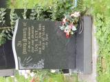 image of grave number 695199